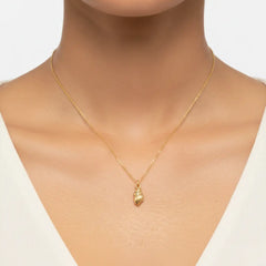 The Maritimus Gold Shell