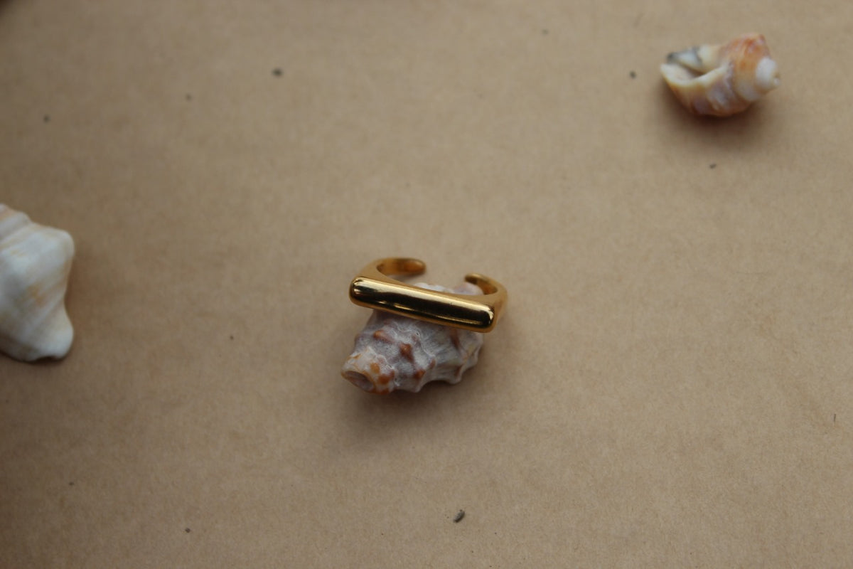 Beam Ring