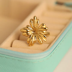 Celestial Radiance